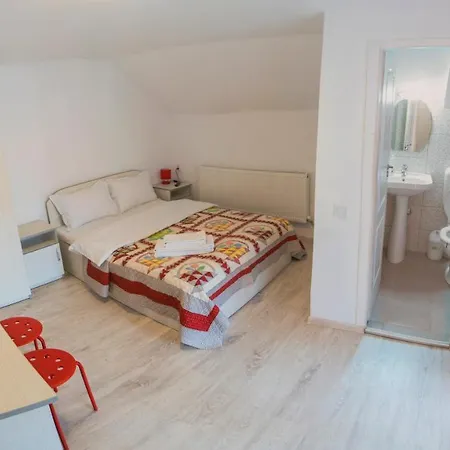 Pensiunea Casa Elena *